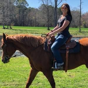 Meet your Posher, Bailey